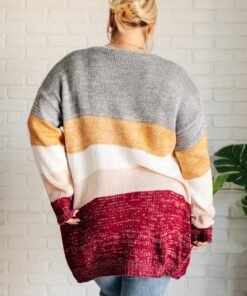 Bring the Warmth Color Block Cardigan Ave Shops