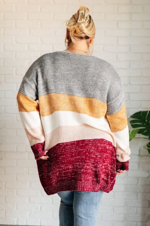 Bring the Warmth Color Block Cardigan Ave Shops